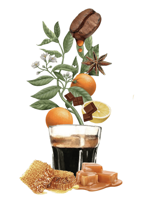 14. MILDREY MONTOYA LA ARBOLEDA CATURRA CHIROSO WASHED 1